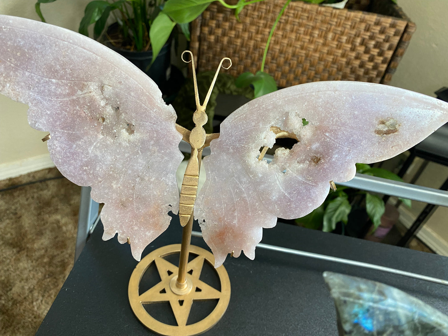 Amethyst Butterfly Pink