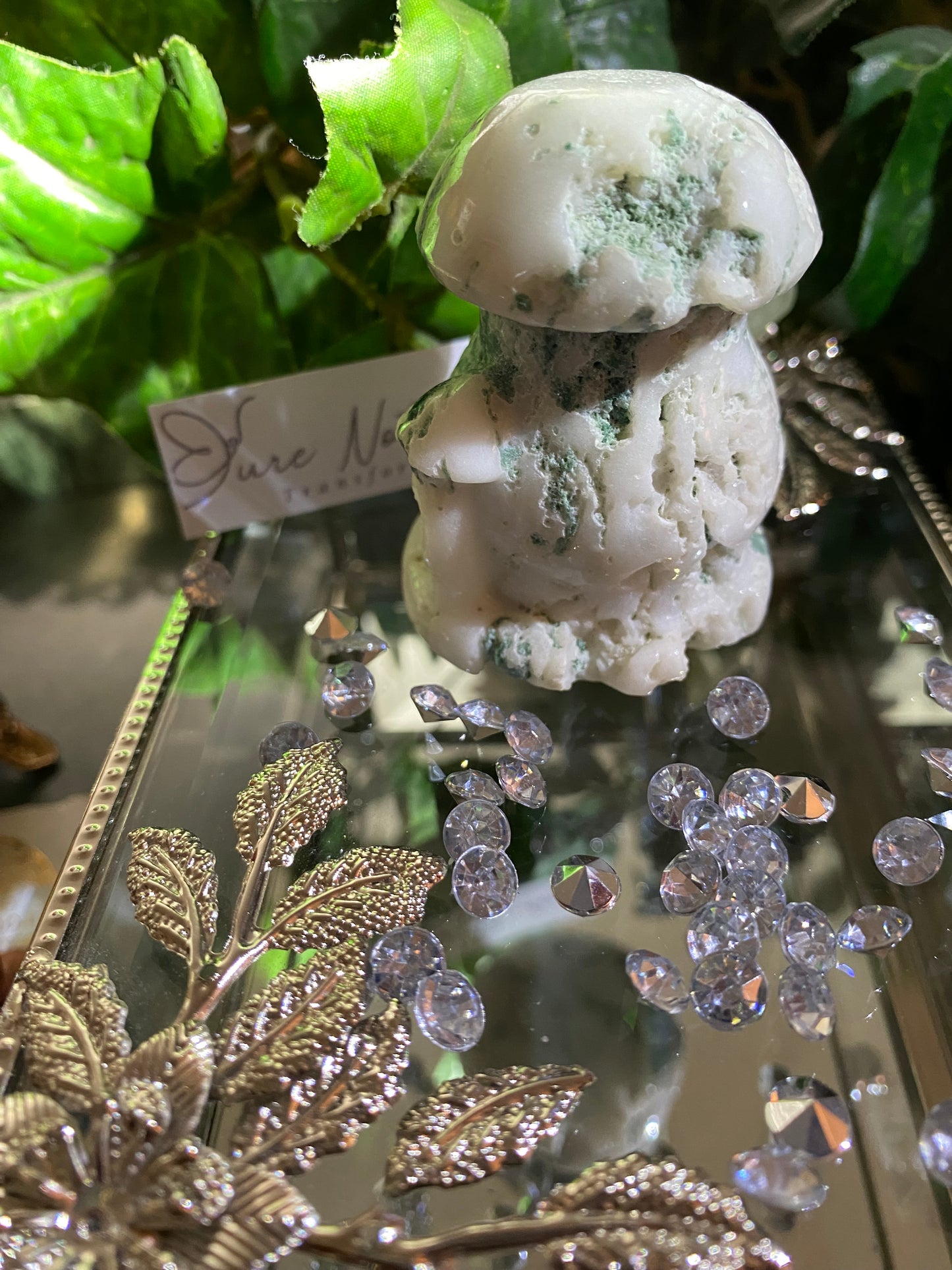 Tree Agate Mushroom Duo