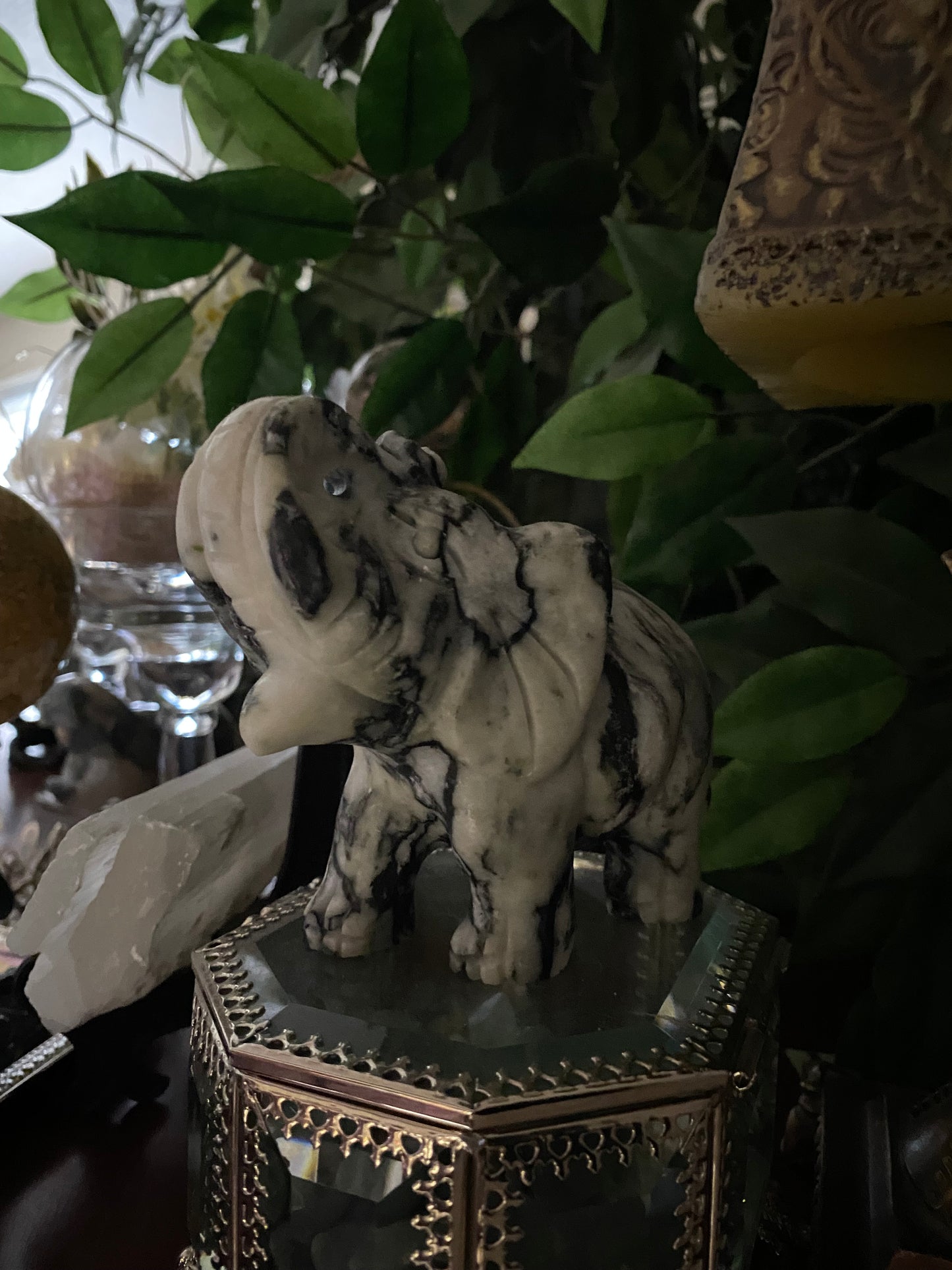 Spider Jasper Elephant