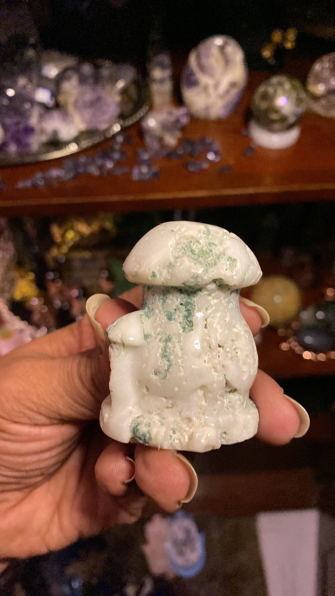 Tree Agate Mushroom Duo