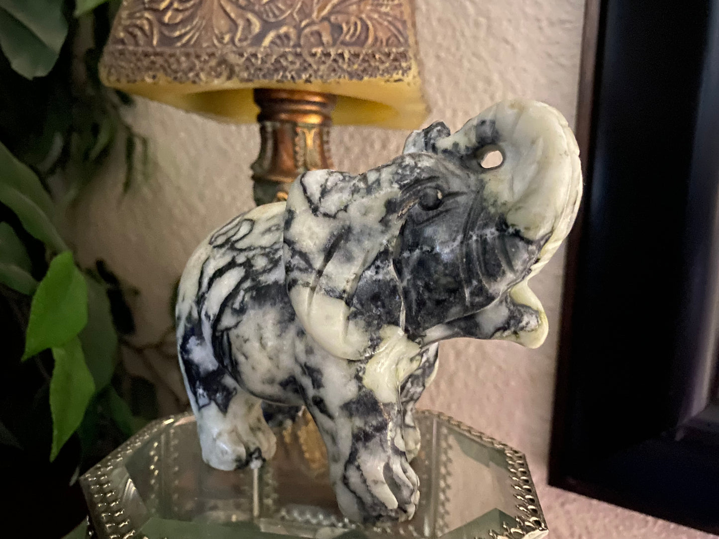 Spider Jasper Elephant