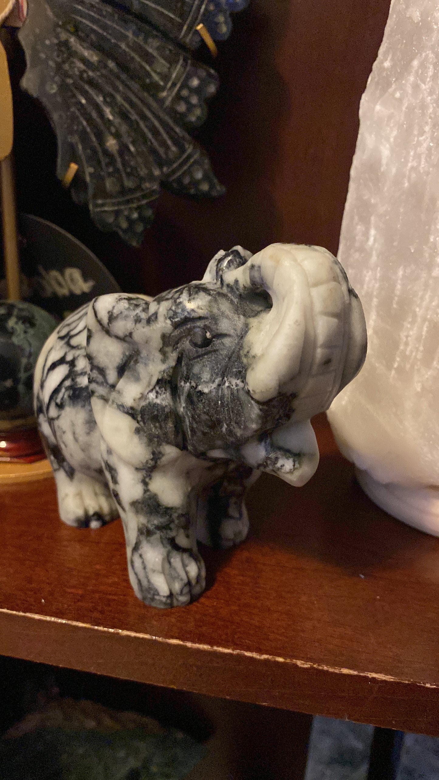 Spider Jasper Elephant