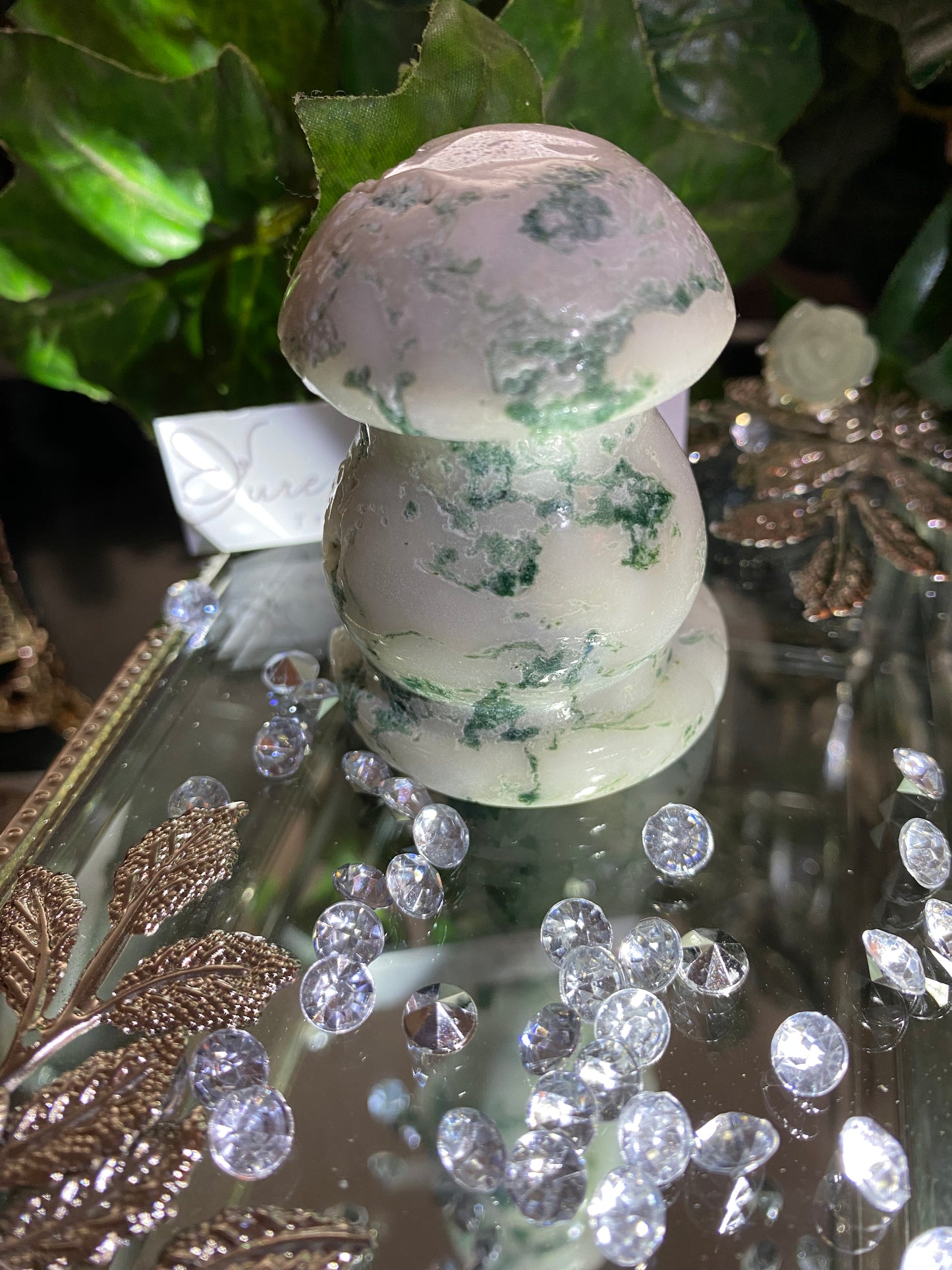 Tree Agate Mushroom Duo