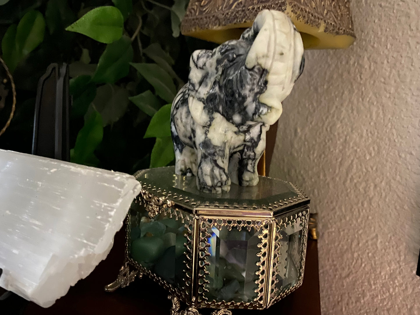 Spider Jasper Elephant