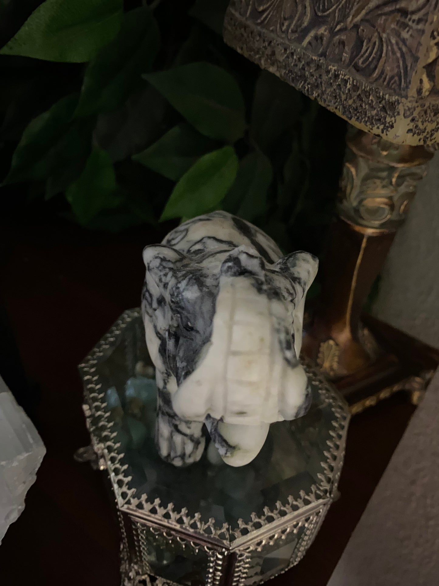 Spider Jasper Elephant