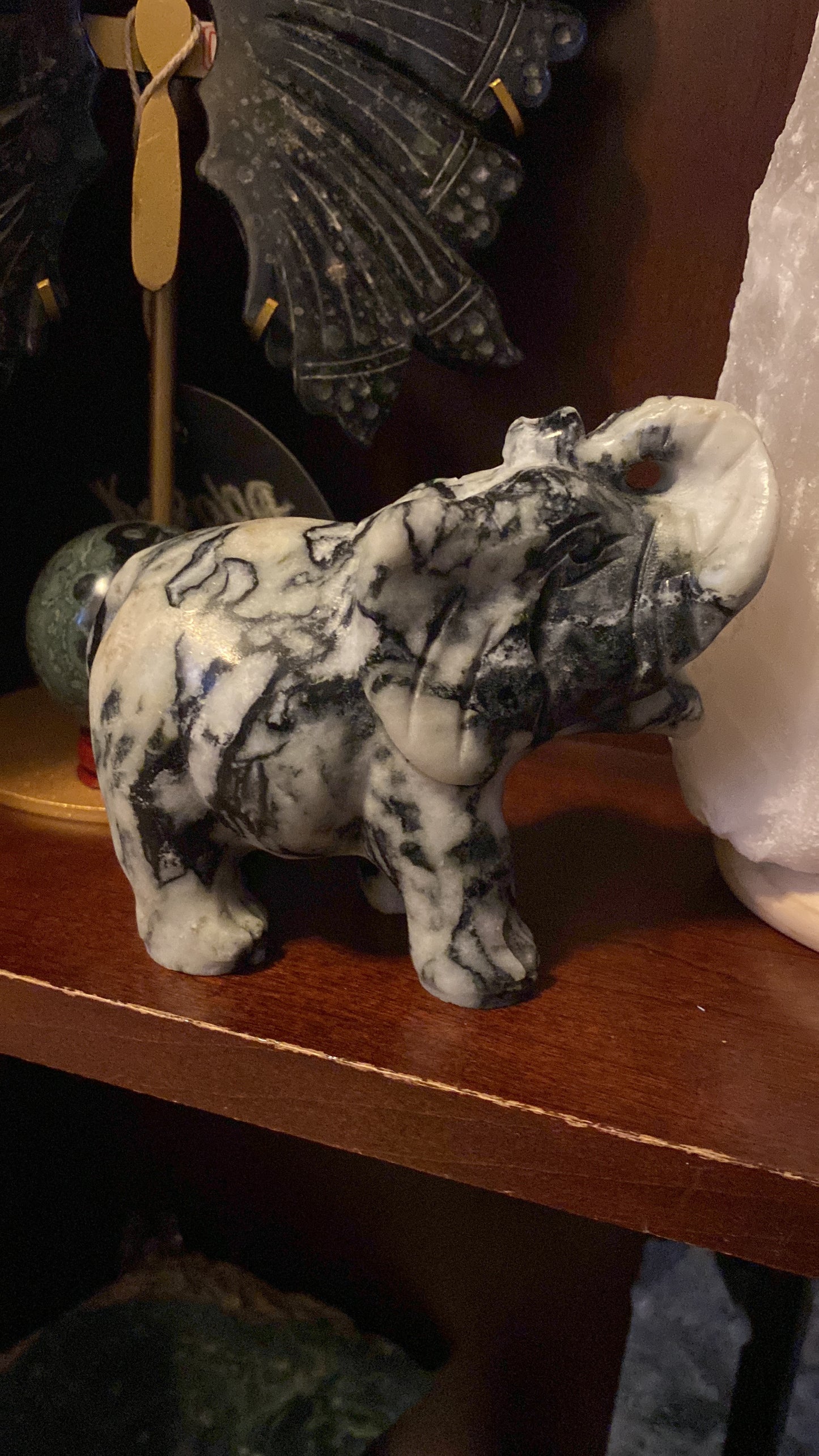 Spider Jasper Elephant