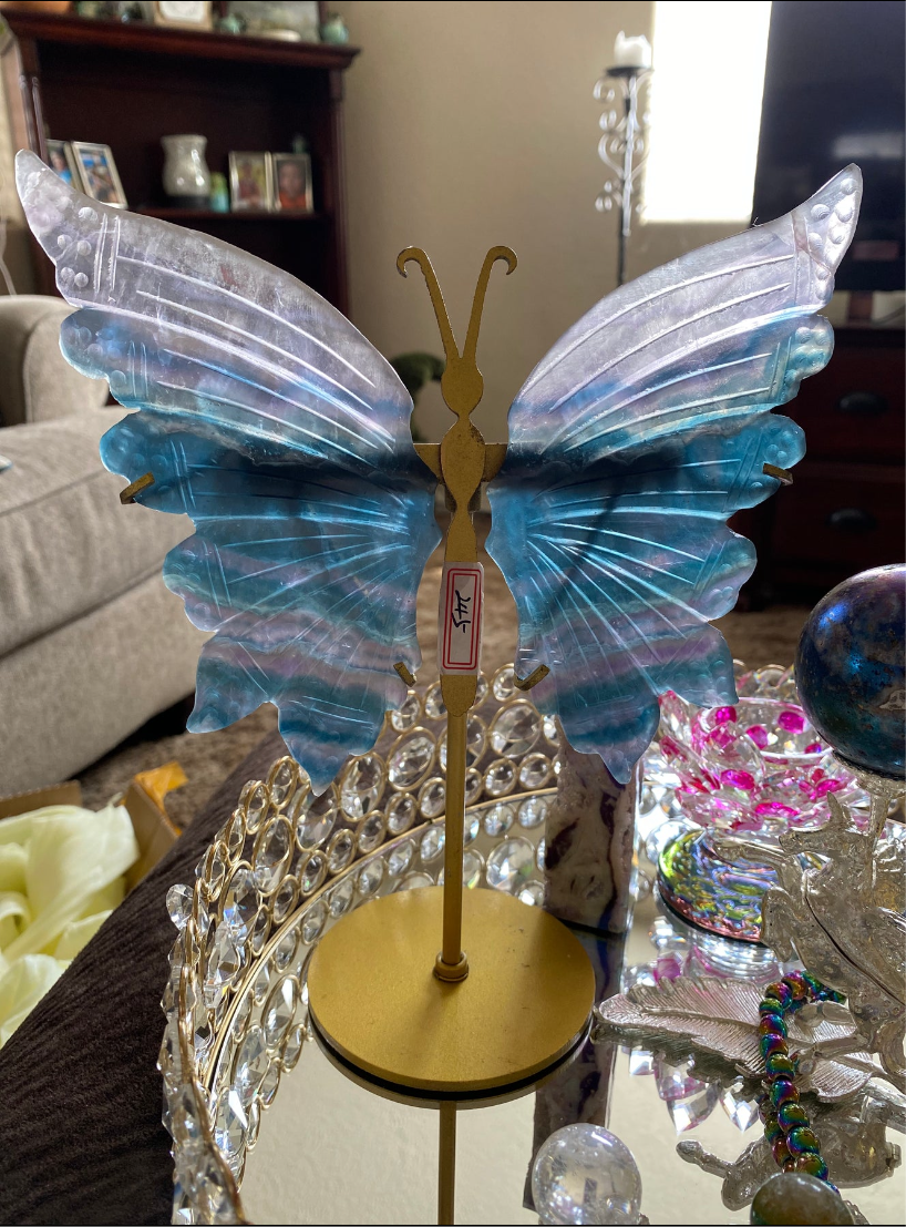 Blue Fluorite Butterfly