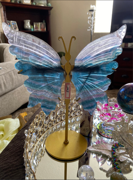 Blue Fluorite Butterfly