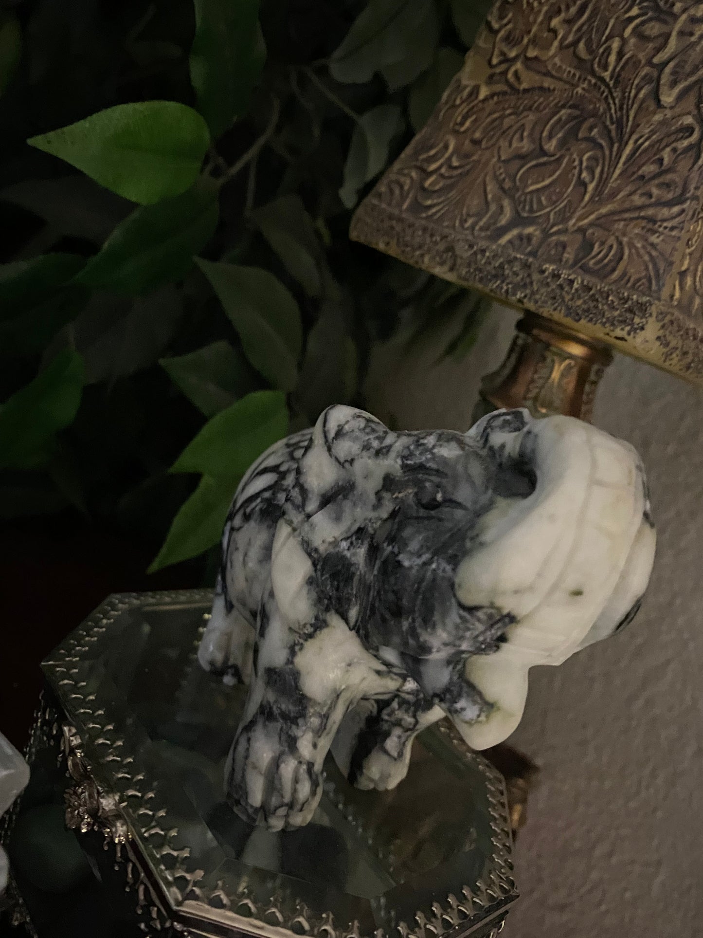 Spider Jasper Elephant