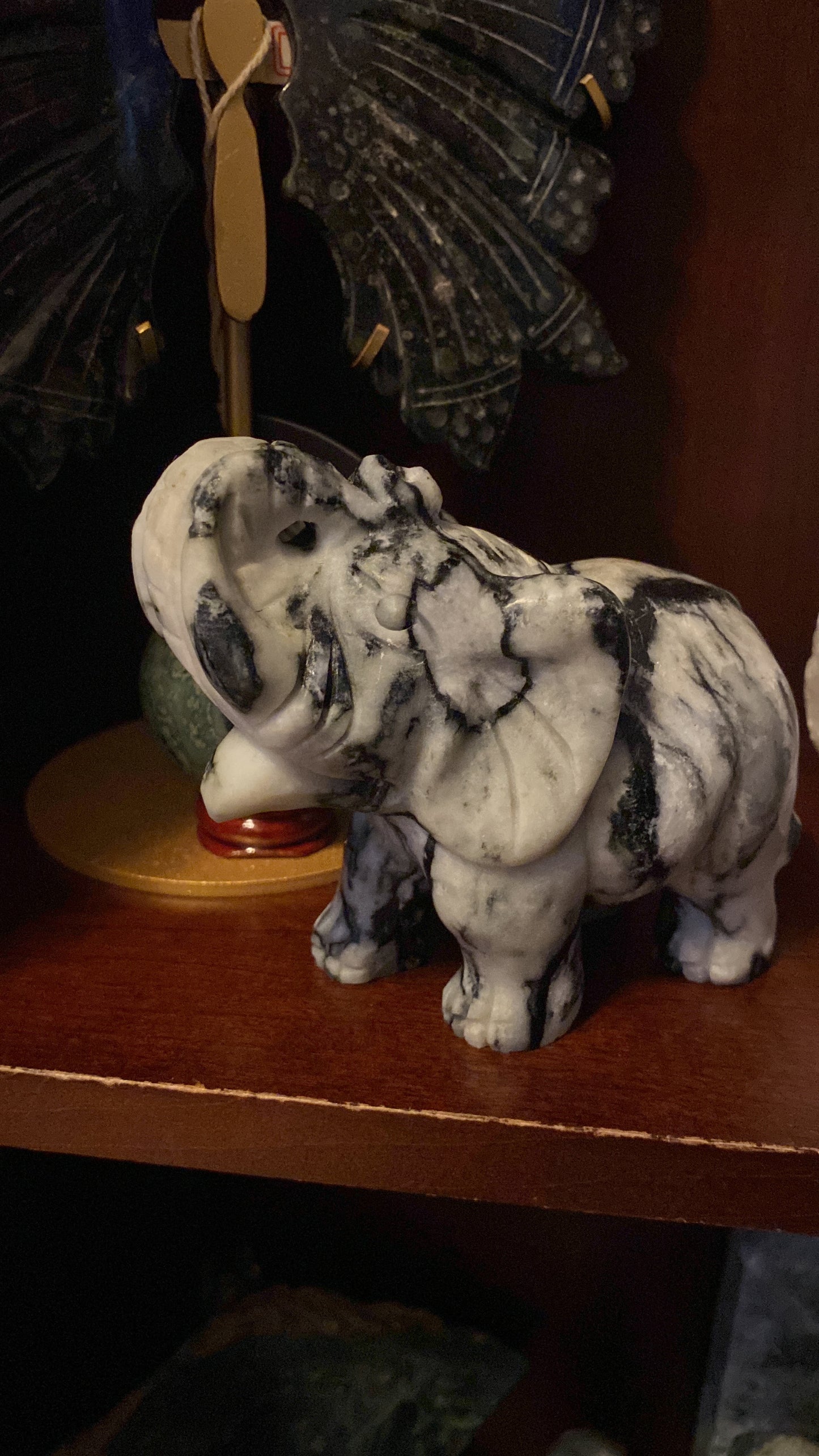 Spider Jasper Elephant